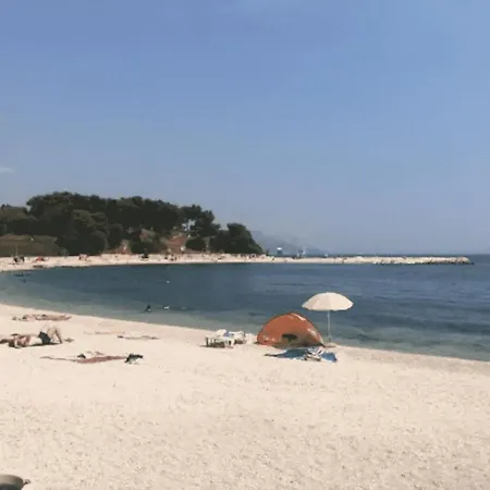 Butterfly With Sea View *