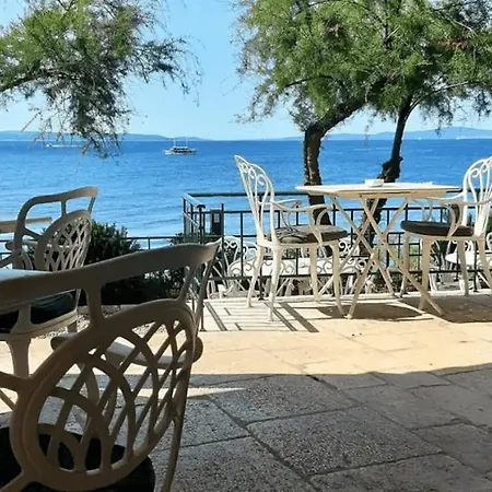 Butterfly With Sea View Daire *