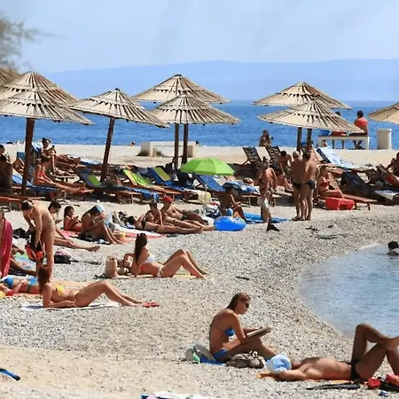 Butterfly With Sea View