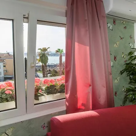 Butterfly With Sea View *