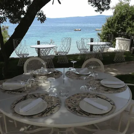 Butterfly With Sea View