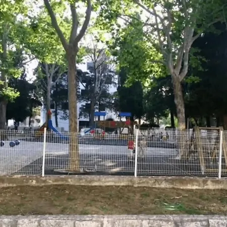 Butterfly With Sea View