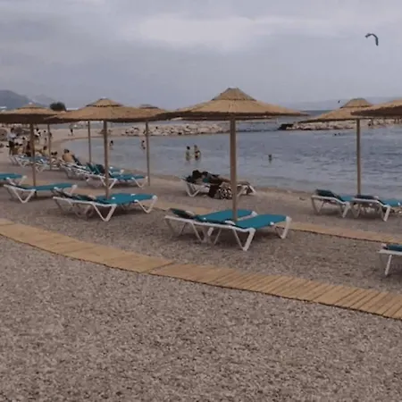 Butterfly With Sea View Σπλιτ