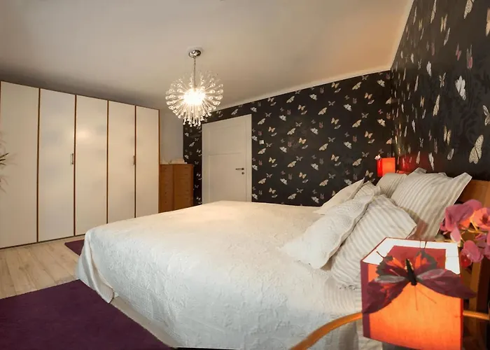 公寓 Butterfly With Sea View 斯普利特