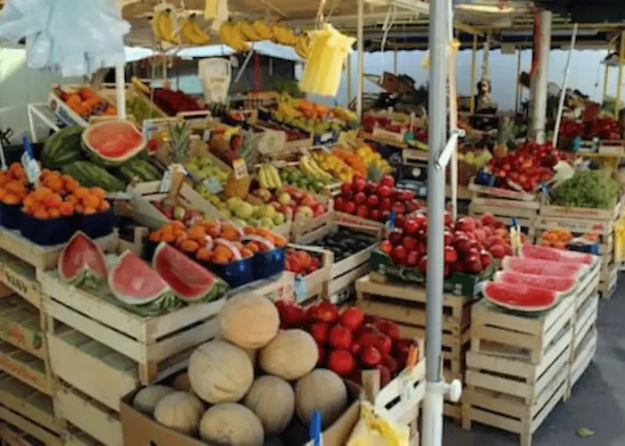 公寓 Butterfly With Sea View 斯普利特