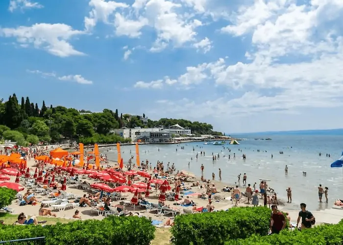 Butterfly With Sea View *