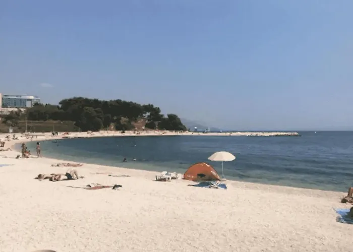 Butterfly With Sea View *