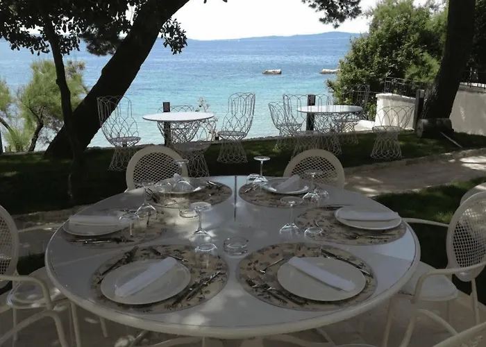 Butterfly With Sea View