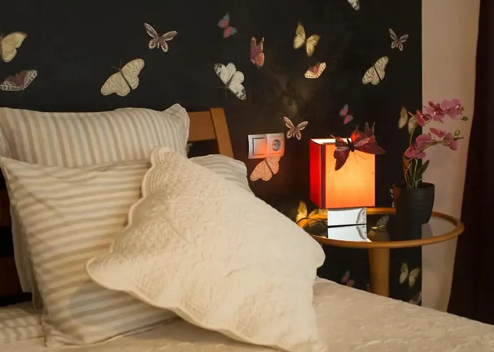 Butterfly With Sea View 斯普利特