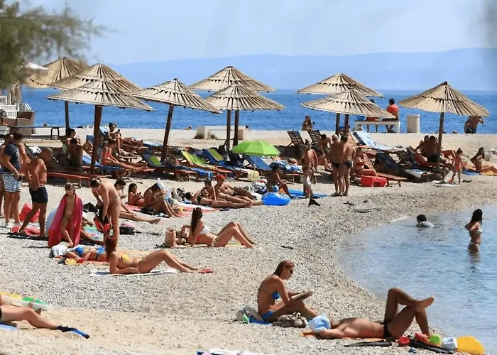 Butterfly With Sea View