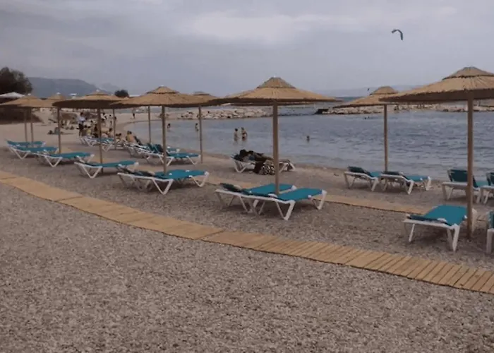 Butterfly With Sea View 斯普利特